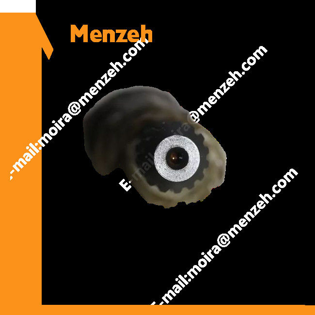 2022128 pignone solare 2025958 del cambio di 2028644 viaggi primo 0462305 8970443720 parti dell'ingranaggio planetario di EX100 EX200-2